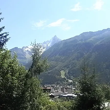 Lumineux 3 Pers, Animaux Admis, Parking - Fr-1-517-27 Apartment Chamonix