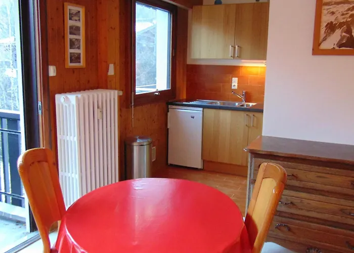 Lumineux 3 Pers, Animaux Admis, Parking - Fr-1-517-27 * Chamonix