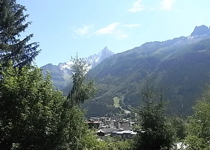 Lumineux 3 Pers, Animaux Admis, Parking - Fr-1-517-27 Apartment Chamonix