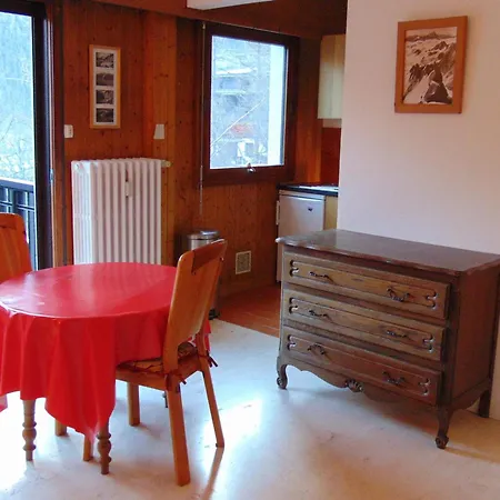 Lumineux 3 Pers, Animaux Admis, Parking - Fr-1-517-27 * Chamonix