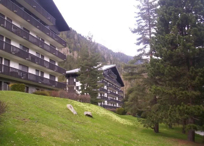 Appartement Lumineux 3 Pers, Animaux Admis, Parking - Fr-1-517-27 Chamonix
